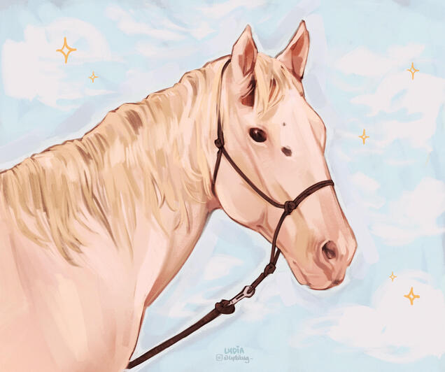 Cloud ☁️