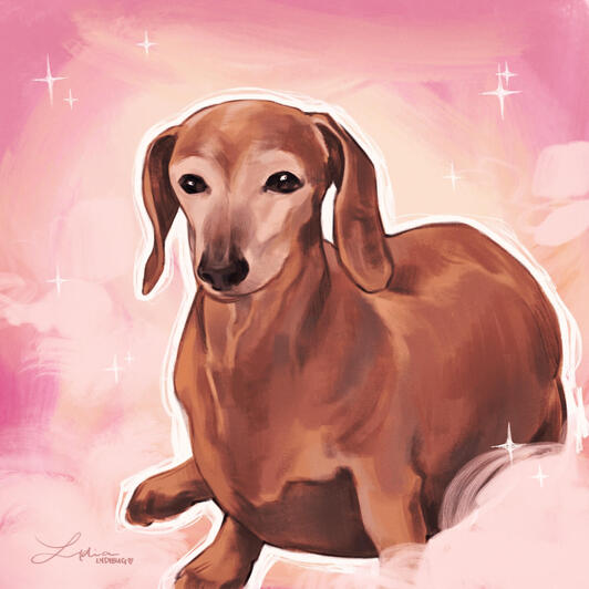 Puppy
